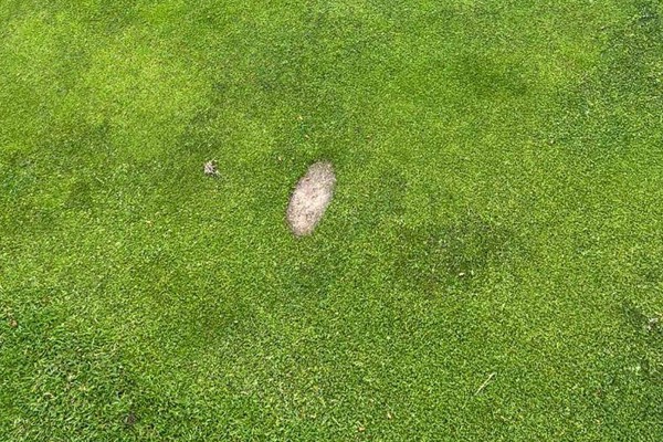 Detta möttes vi av lördag 28/6, uppslagen torv på green & foregreen. Så fruktansvärt dåligt, finns ingen respekt för jobbet vi gör med banan.