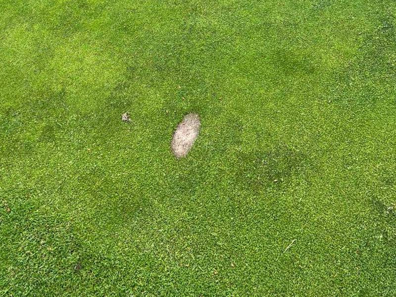 Detta möttes vi av lördag 28/6, uppslagen torv på green & foregreen. Så fruktansvärt dåligt, finns ingen respekt för jobbet vi gör med banan.