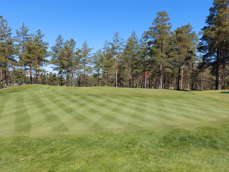 Vi söker en ny Klubbchef/VD till Hammarö Golfklubb/GolfAB