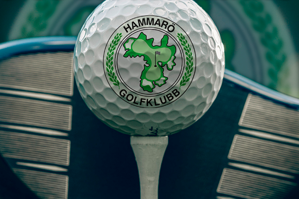 Beställ logobollar från Titleist hos oss med ditt företagsnamn!