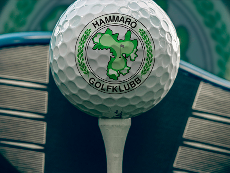 Beställ logobollar från Titleist hos oss med ditt företagsnamn!