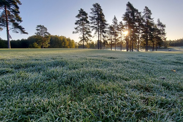 Vid frost är det spelförbud!