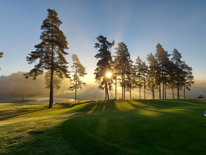 Hammarö Golfklubb söker ansvarig för golfshop & reception säsongen 2025